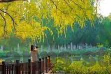 玩德州扑克逻辑-玩德州扑克中的逻辑运用